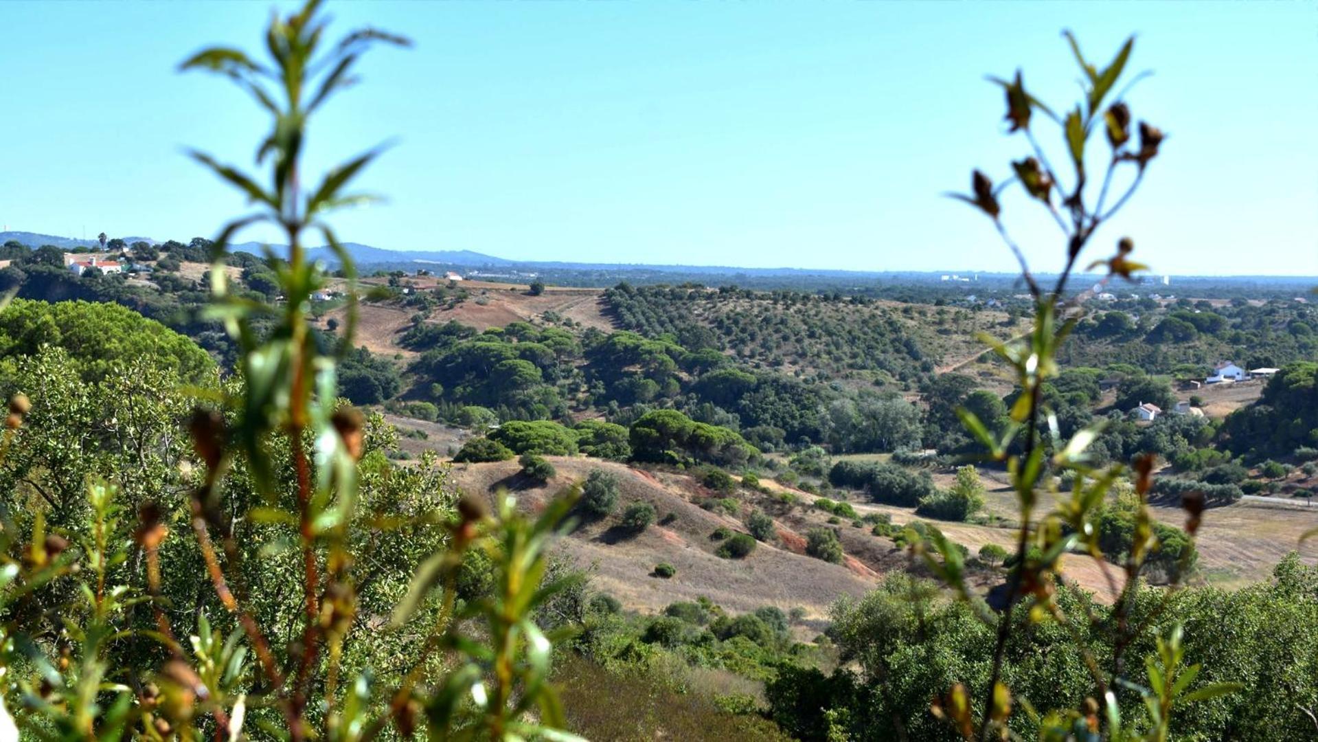 Pensjonat Monte Sardinha Santiago do Cacém Zewnętrze zdjęcie
