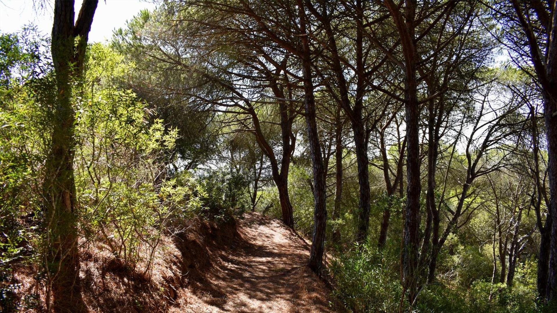 Pensjonat Monte Sardinha Santiago do Cacém Zewnętrze zdjęcie